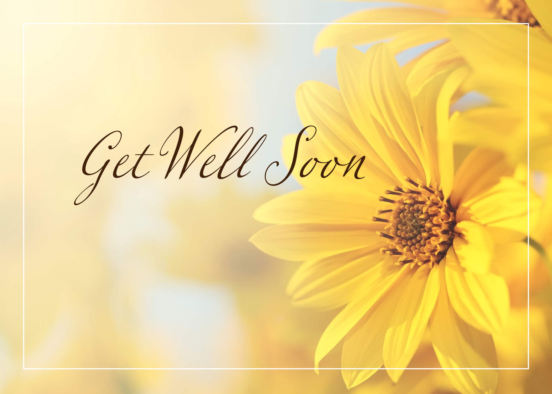 A "Get Well Soon" card with a large yellow flower, blooms blurred in the background, and a thin white border.