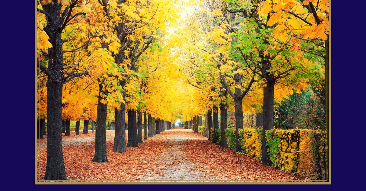 A card with the text "HAPPY THANKSGIVING" has a navy border. The center is a photo of a path with fall foliage.