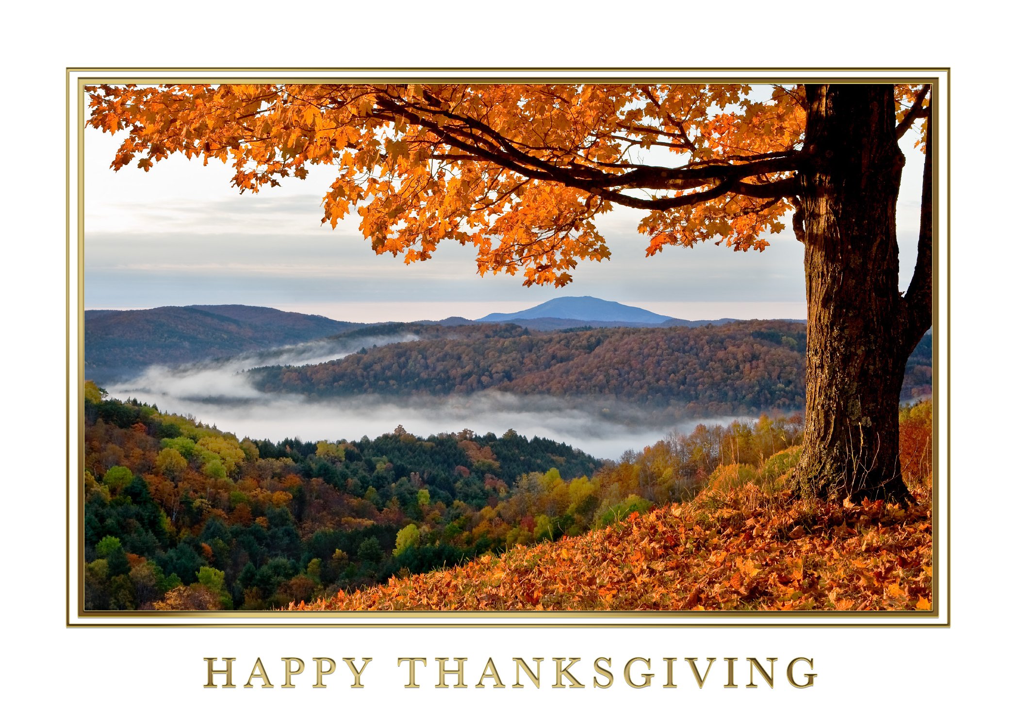 Professional Thanksgiving Outreach Beyond Email A happy Thanksgiving card with a mountainous landscape. A tree with orange leaves is in the foreground.