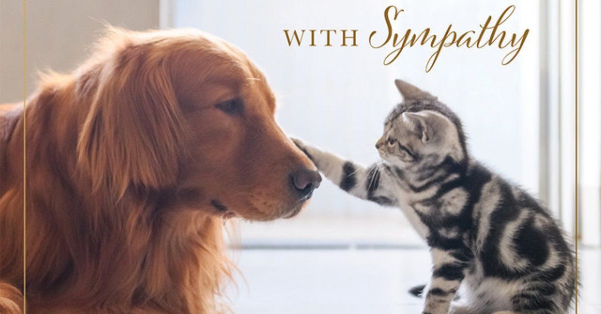 Sympathy Card Etiquette for Businesses: What You Should Know