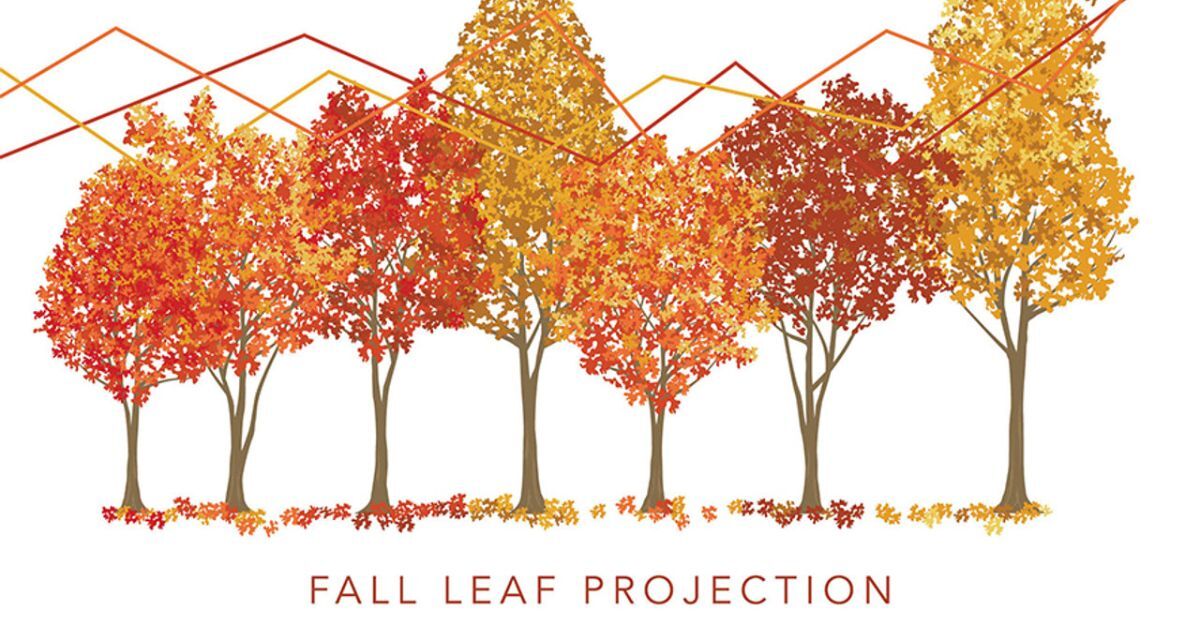 Why Greeting Cards Are a Double Win for Marketing ROI